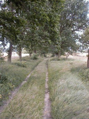 Keywords: Ostsee KÃ¼ste Insel RÃ¼gen Neuendorf