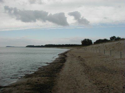 Keywords: Ostsee KÃ¼ste Insel RÃ¼gen Nordpferd