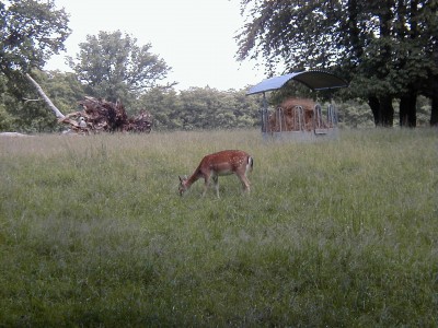 Keywords: Ostsee KÃ¼ste Insel RÃ¼gen Putbus