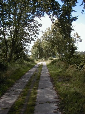 Keywords: Ostsee KÃ¼ste Insel RÃ¼gen Putbus