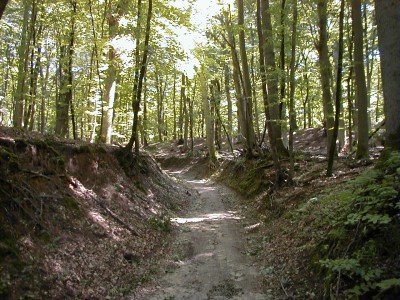 Keywords: Ostsee KÃ¼ste Insel RÃ¼gen Semper Heide