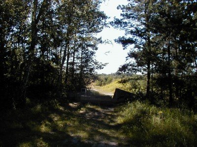 Keywords: Ostsee KÃ¼ste Insel RÃ¼gen Semper Heide