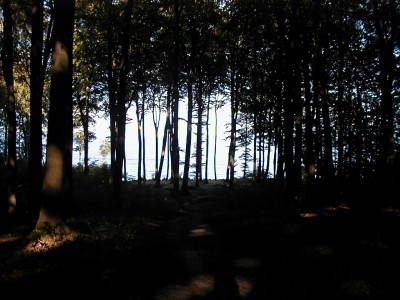 Keywords: Ostsee KÃ¼ste Insel RÃ¼gen Jasmund