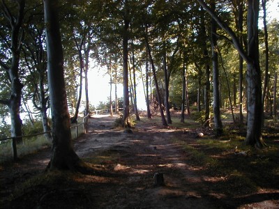 Keywords: Ostsee KÃ¼ste Insel RÃ¼gen Jasmund