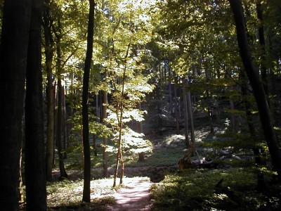 Keywords: Ostsee KÃ¼ste Insel RÃ¼gen Jasmund