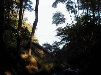 Keywords: Ostsee KÃ¼ste Insel RÃ¼gen Jasmund