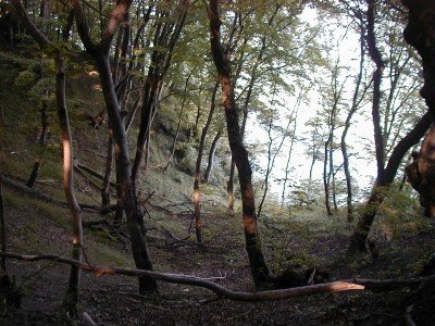 Keywords: Ostsee KÃ¼ste Insel RÃ¼gen Jasmund