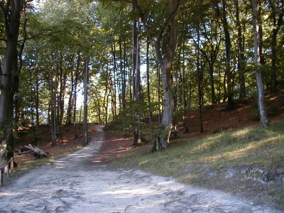 Keywords: Ostsee KÃ¼ste Insel RÃ¼gen Jasmund