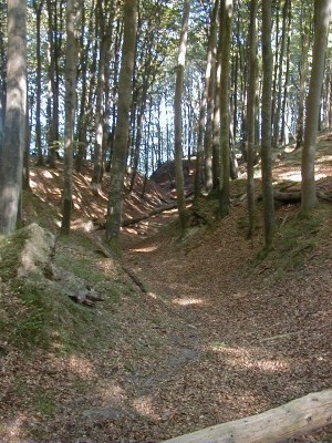 Keywords: Ostsee KÃ¼ste Insel RÃ¼gen Jasmund