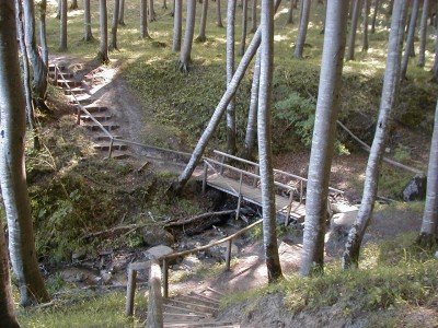 Keywords: Ostsee KÃ¼ste Insel RÃ¼gen Jasmund