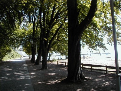 Keywords: Ostsee KÃ¼ste Insel RÃ¼gen Sassnitz Innenstadt