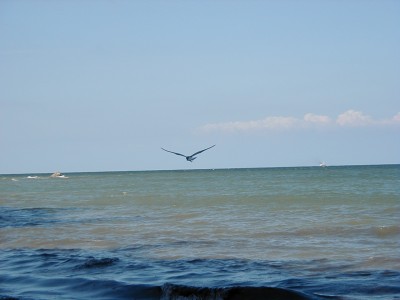 Keywords: Ostsee KÃ¼ste Insel RÃ¼gen Jasmund SteilkÃ¼ste