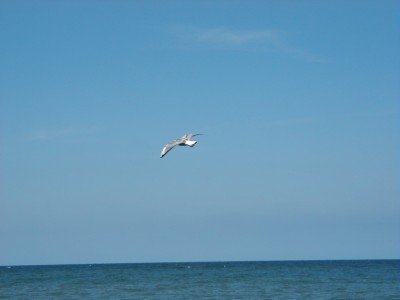 Keywords: Ostsee KÃ¼ste Insel RÃ¼gen Jasmund SteilkÃ¼ste