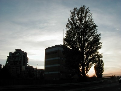 Keywords: Frankfurt Main Rundgang Spaziergang Europaviertel