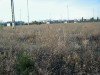 P1010020.JPG