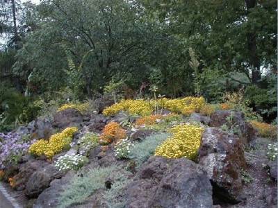 Keywords: Frankfurt Main Palmengarten Pflanzen Blumen Pflanze Blume