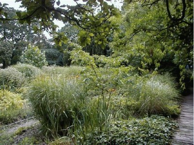 Keywords: Frankfurt Main Palmengarten Pflanzen Blumen Pflanze Blume