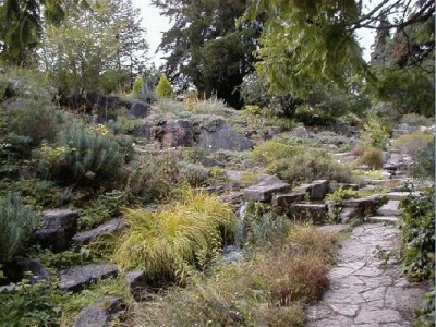 Keywords: Frankfurt Main Palmengarten Pflanzen Blumen Pflanze Blume