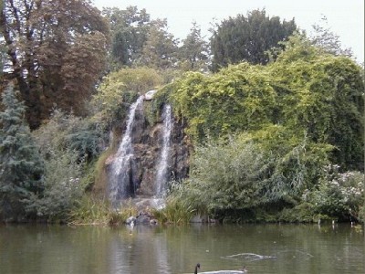 Keywords: Frankfurt Main Palmengarten Pflanzen Blumen Pflanze Blume