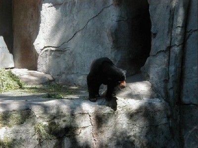 Keywords: Frankfurt Main Ostend Zoo Tiergarten Tiere Tier Pflanzen Blumen Pflanze Blume