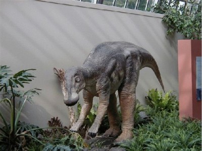 Keywords: Frankfurt Main Palmengarten Dinosaurier Saurier