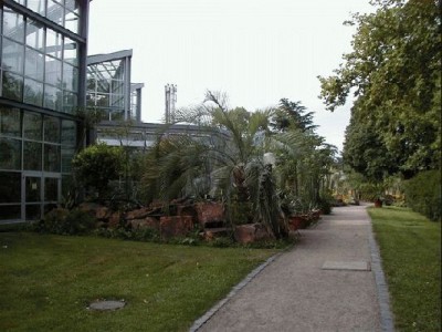 Keywords: Frankfurt Main Palmengarten Pflanzen Blumen Pflanze Blume