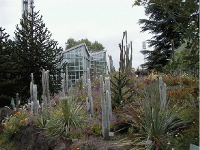 Keywords: Frankfurt Main Palmengarten Pflanzen Blumen Pflanze Blume