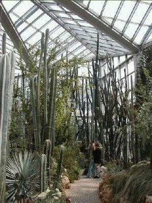 Keywords: Frankfurt Main Palmengarten Pflanzen Blumen Pflanze Blume