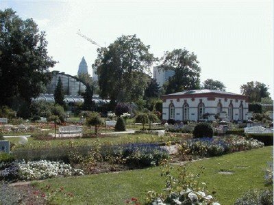 Keywords: Frankfurt Main Palmengarten Pflanzen Blumen Pflanze Blume