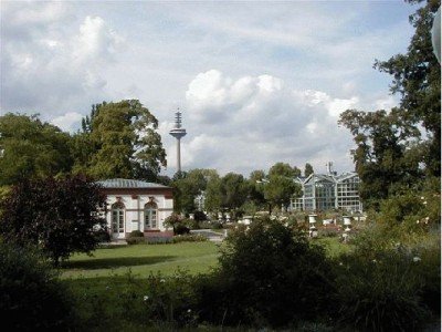 Keywords: Frankfurt Main Palmengarten Pflanzen Blumen Pflanze Blume