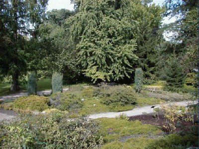 Keywords: Frankfurt Main Palmengarten Pflanzen Blumen Pflanze Blume